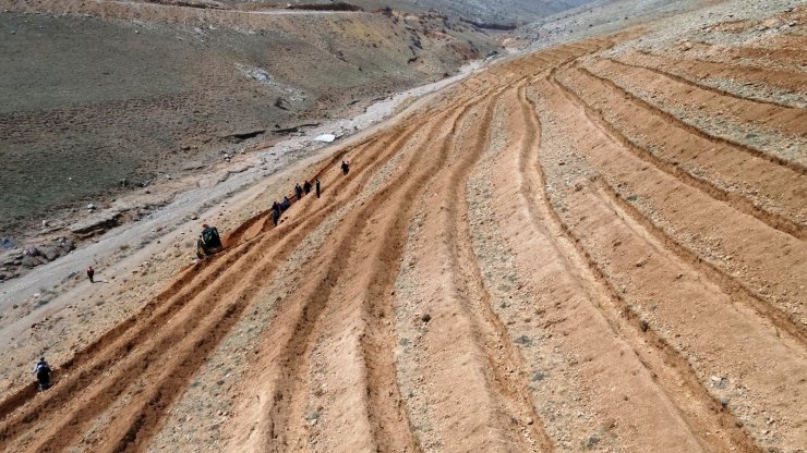 Selçuklu Belediyesi 5 bin fidanla yeşil dokuya katkı sağladı