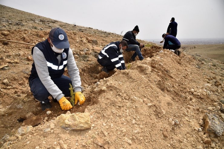 Selçuklu Belediyesi 5 bin fidanla yeşil dokuya katkı sağladı