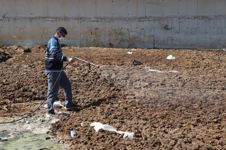 Polatlı Belediyesinden sinekle mücadelede yeni çözüm