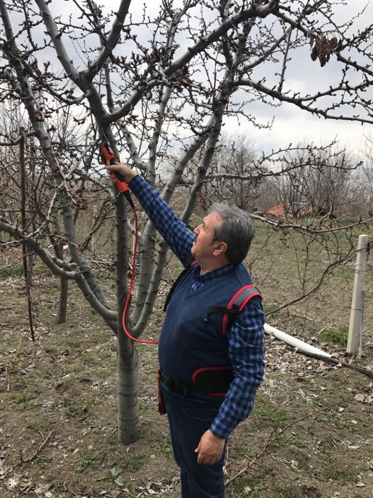 BBP Genel Başkanı Destici ağaç budadı