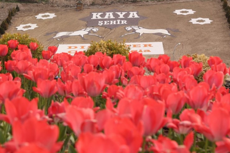 Nevşehir’de bahar güzelliği