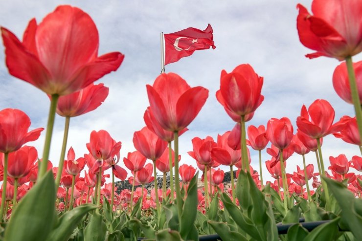 Nevşehir’de bahar güzelliği