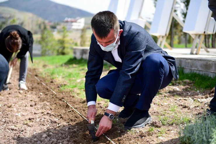 Altındağ çiçek açtı