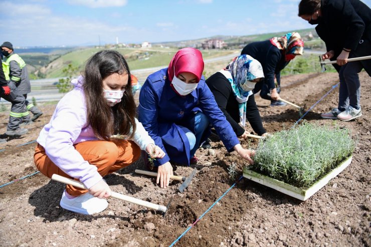 Altındağ çiçek açtı