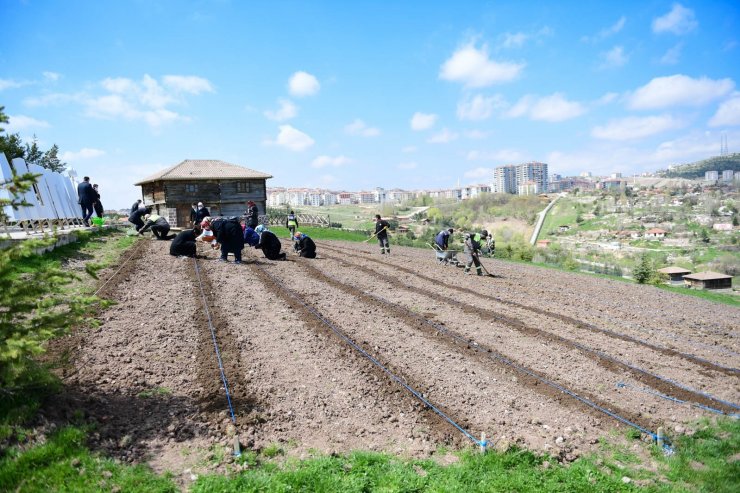 Altındağ çiçek açtı