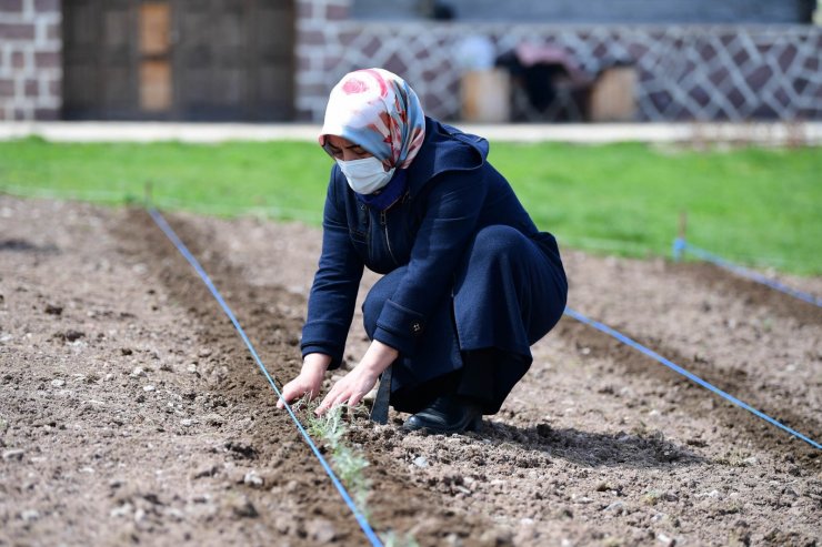 Altındağ çiçek açtı