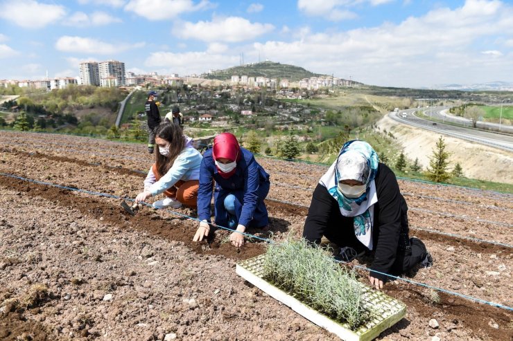 Altındağ çiçek açtı