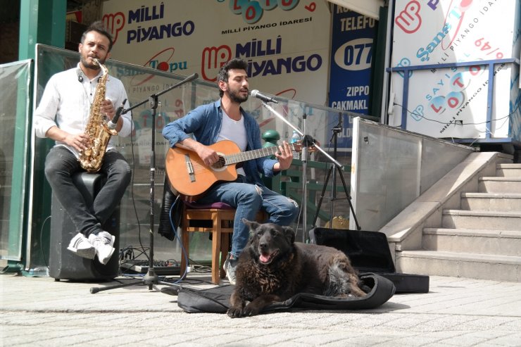 Eskişehir’de renkli bahar manzaraları