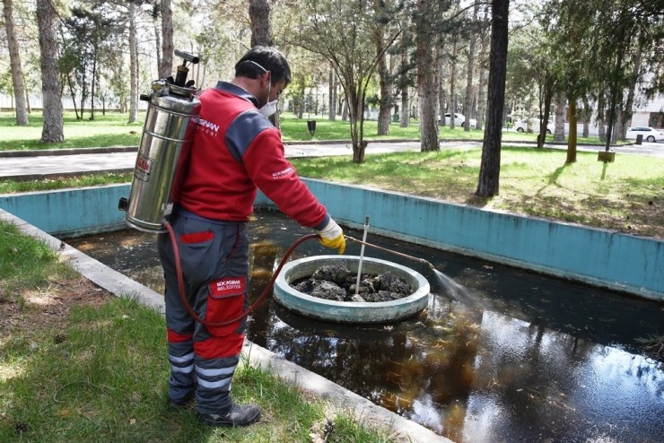 Kocasinan’da, huzurlu bir yaz için haşere ile mücadele devam ediyor