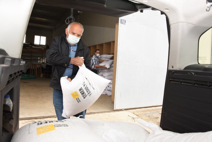 Konya Büyükşehir’den çiftçiye yerli şeker fasulye tohumu desteği