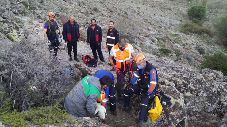 Uçurumda mahsur kalan koyunu ve sahibini ekipler kurtardı