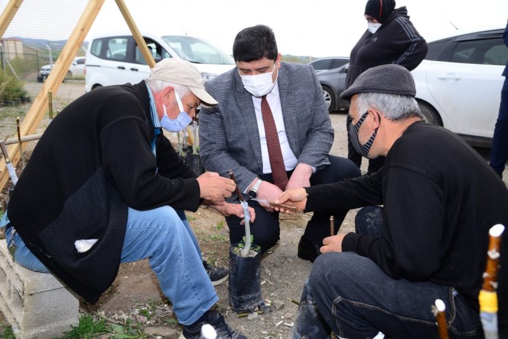 Kahramankazanlı çiftçilere budama ve aşılama eğitimi