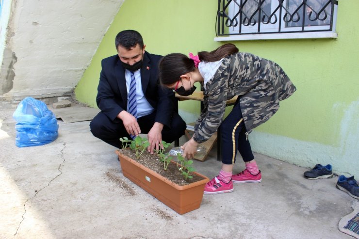 Tam kapanmayla Akdağmadeni’nde evlerde çilek yetiştirilecek