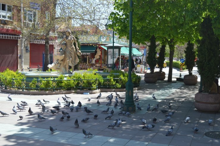 Güvercinlerin şanslısı yem buldu, şansızı aç kaldı