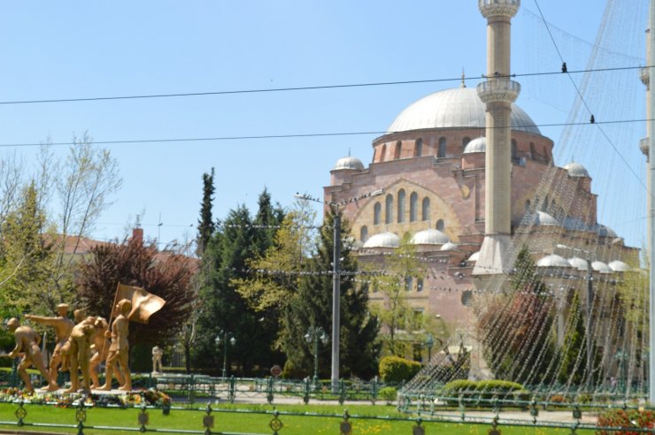 Güvercinlerin şanslısı yem buldu, şansızı aç kaldı