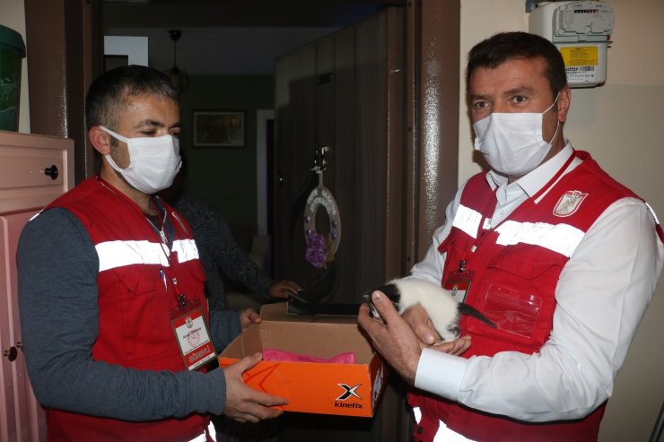 Ekipler alarma geçti, yavru kediyi sütannesi ile buluşturuldu