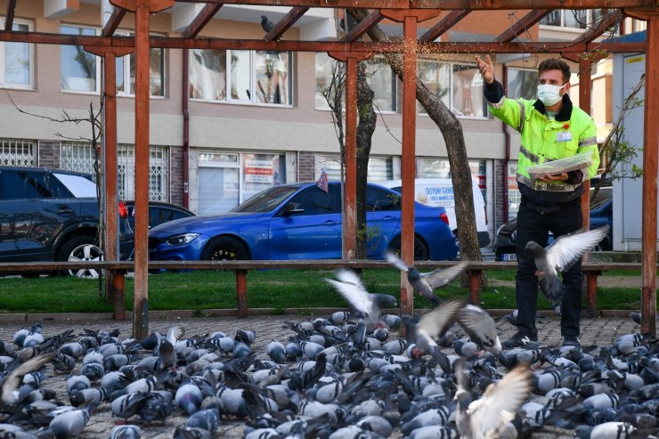 Tam kapanmada sokak hayvanları yalnız değil