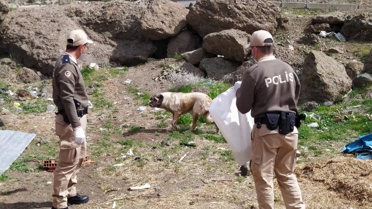 Tam kapanma sürecinde sokak hayvanları unutulmadı