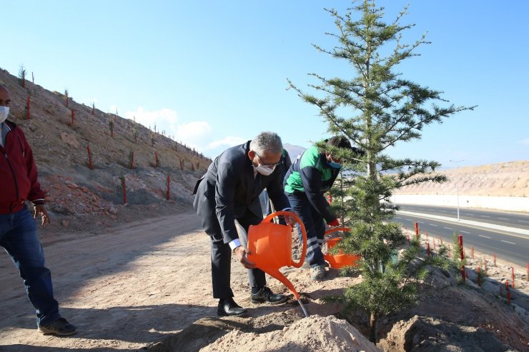 Büyükkılıç’tan yeni fidanlık müjdesi