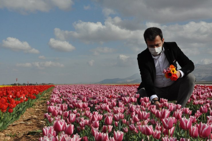 Karaman’da lale tarlasında korona virüs sessizliği