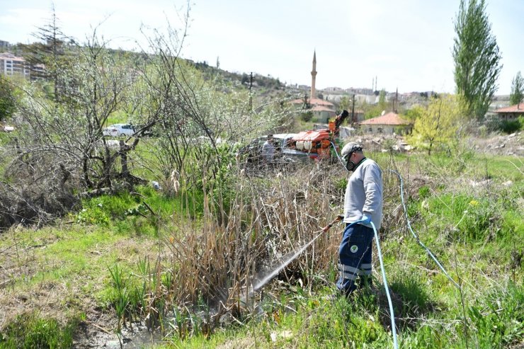 Mamak Belediyesi’nden haşere ile mücadele