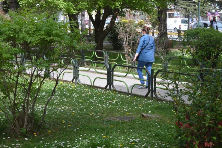 Çimen çiçekleri Eskişehir’i şenlendirdi