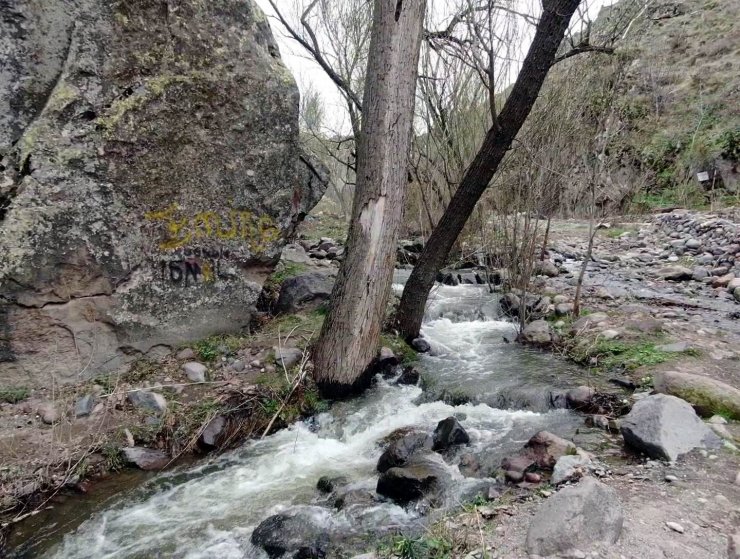 Erciyes’in karı eridi Kırlangıç Vadisi coştu