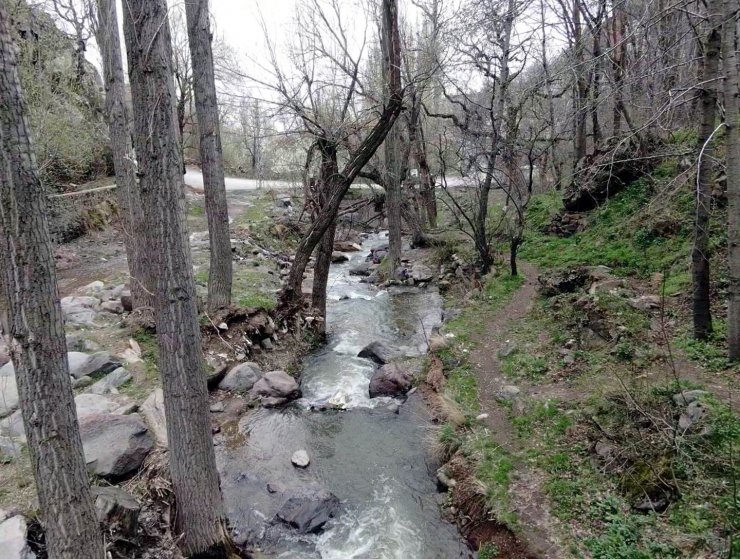 Erciyes’in karı eridi Kırlangıç Vadisi coştu