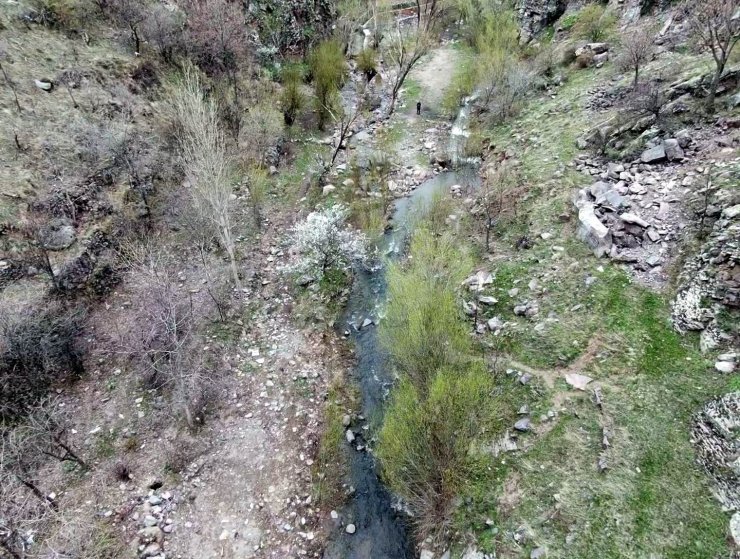 Erciyes’in karı eridi Kırlangıç Vadisi coştu