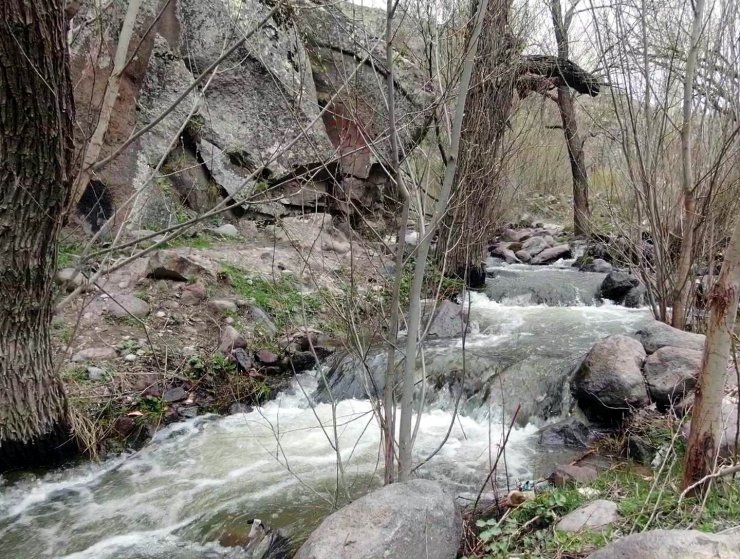 Erciyes’in karı eridi Kırlangıç Vadisi coştu