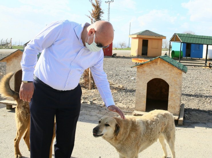 Başkan Altınok’tan can dostlara yakın ilgi