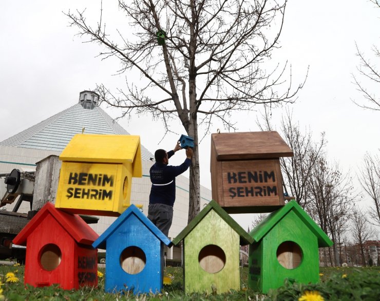 Konya’da şehir geneline kuş evleri monte edildi