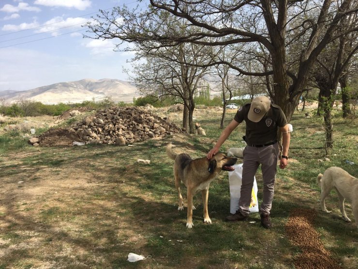 Polisler sokak kısıtlamasında hayvanları besledi