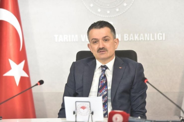 Tarım ve Orman Bakanı Pakdemirli: “Son 19 yılda, 5,3 milyar fidanı toprakla buluşturduk”