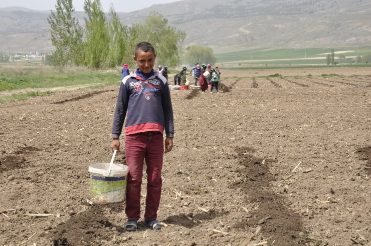 Tarımın bel kemikleri Ramazan ayında işlerinin başında