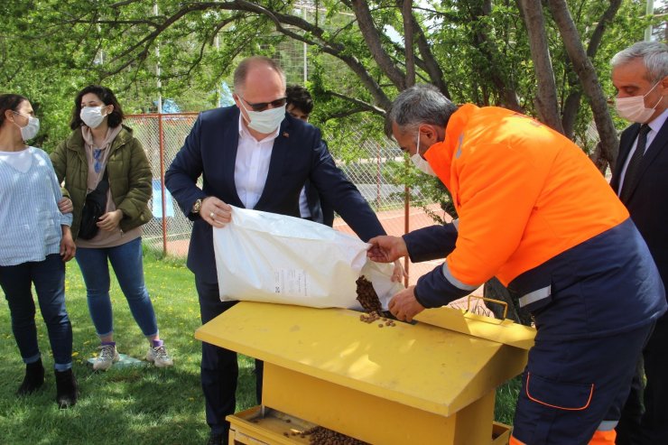 Bu Belediye can dostlarını unutmuyor