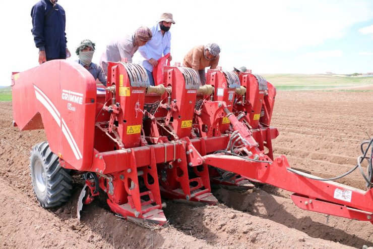 Yozgat’ta 7 çeşit yerli patates tohumu deneme ekimi yapıldı