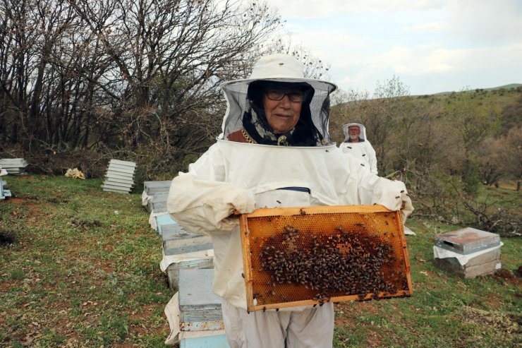 Karadeniz Bölgesinin gezginci arıcıları Bozok yaylasında