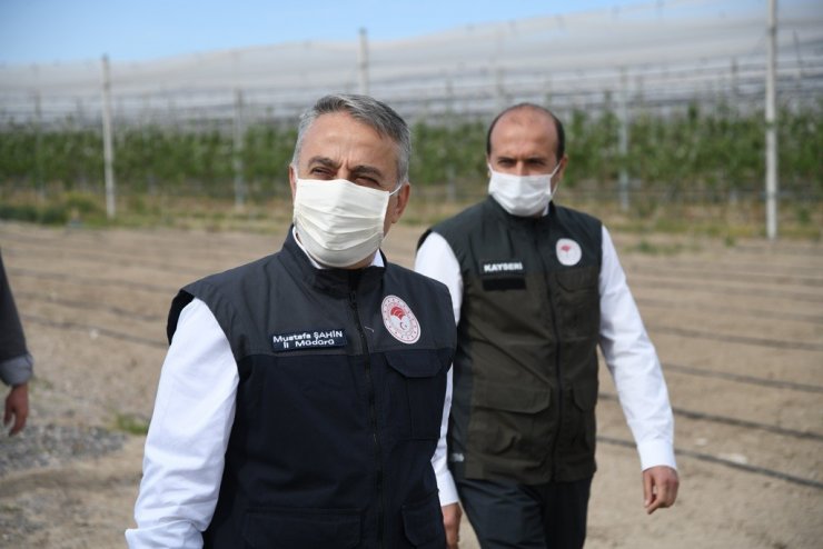 Kayseri elma yetiştiriciliğinde 5. sırada