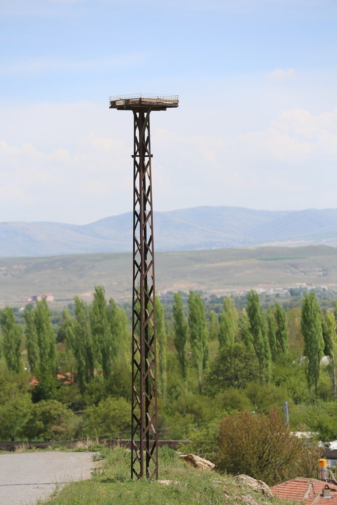 Kocasinan’da leylek yuvaları misafirlerini ağırlamaya başladı