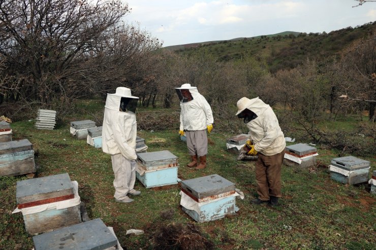 Karadeniz Bölgesinin gezginci arıcıları Bozok yaylasında