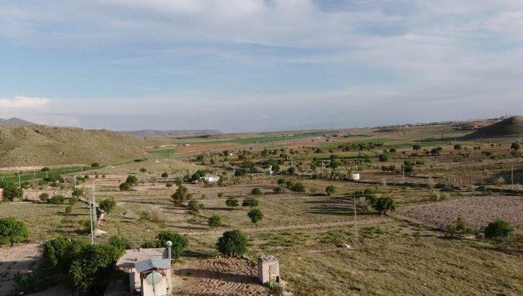 Üzümüyle meşhur İncesu’da bağlar yeşerdi