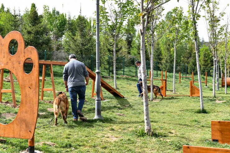 Ankara Büyükşehirden hayvanseverler için pati parkları