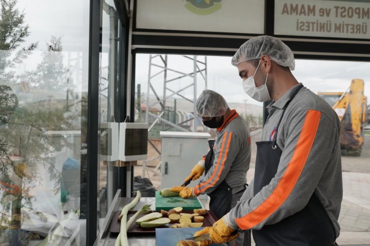 Sincan Belediyesinden sokak hayvanlarına yaş mama tesisi