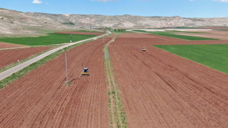 Patates üretiminde ilk sıralarda olan Sivas’ta tohumlar toprakla buluştu