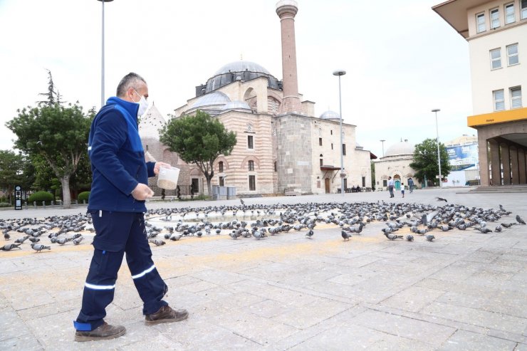 Konya’da sokak hayvanları tam kapanmada emin ellerde