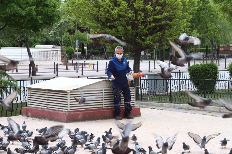 Konya’da sokak hayvanları tam kapanmada emin ellerde