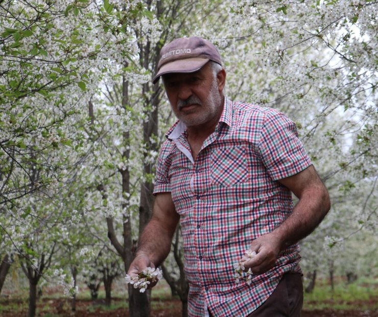 Fırtına meyve bahçelerini vurdu, yüzde 25 ürün kaybından endişe ediliyor