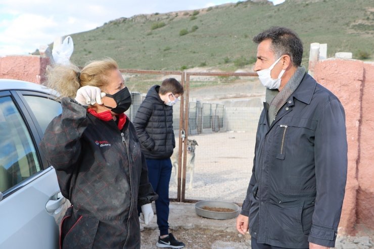 Uçhisar Belediye Başkanı Süslü, sokak hayvanlarını unutmadı