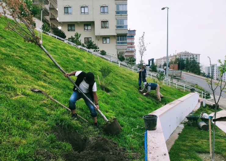 Ağaçlandırma seferberliğinde vatandaş ve belediye işbirliği